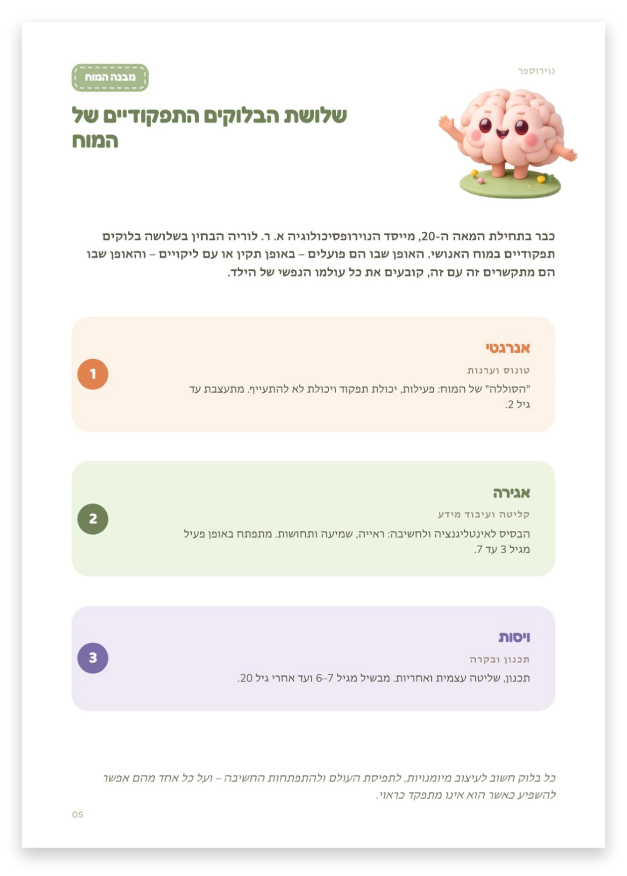 שלוש יחידות תפקוד של המוח